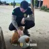 Policia Civil descarta envenenamento e aponta doenca viral como causa