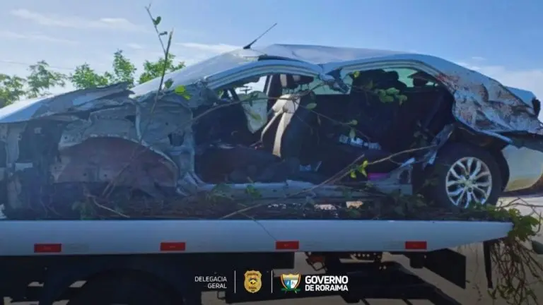 Policia Civil solicita apoio da populacao para identificar motorista envolvido