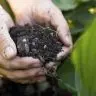 biofertilizantes bioinsumos 1 721x375