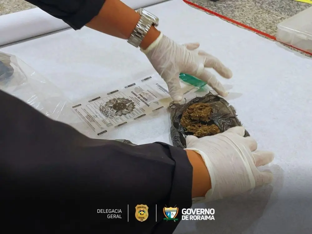 1739991249 624 IDENTIFICACAO DE DROGAS Peritos da Policia Civil testam habilidades em