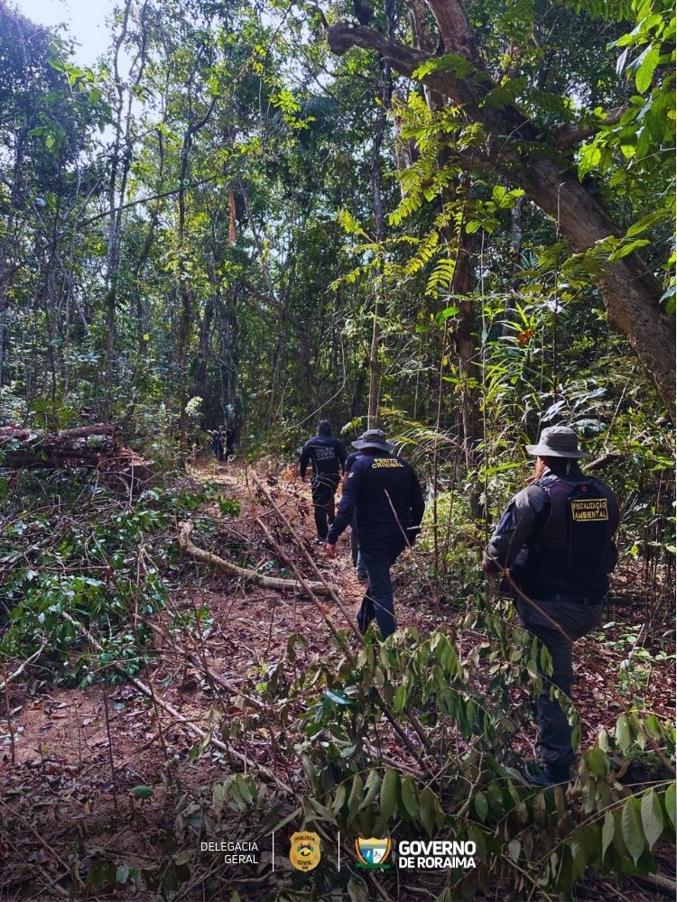 EM CARACARAÍ: Operação integrada combate desmatamento e esbulho possessório na região do Itã 4 1740553807 461 EM CARACARAI Operacao integrada combate desmatamento e esbulho possessorio na