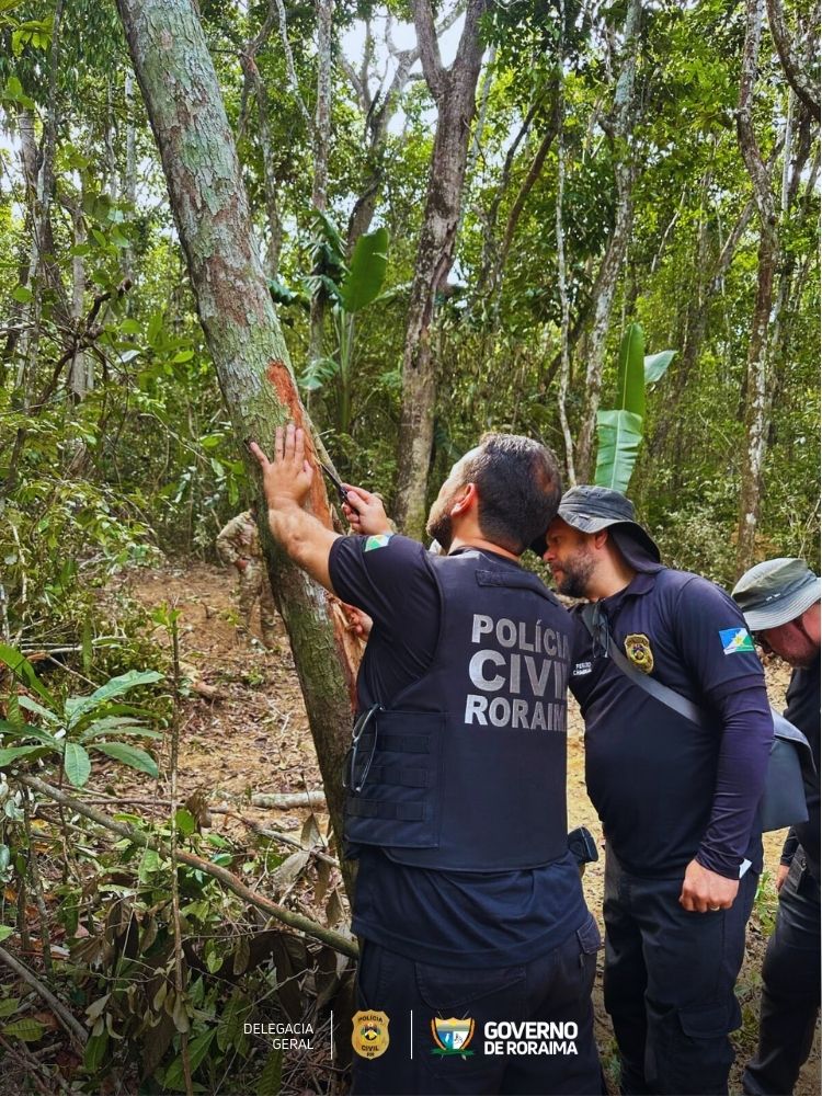EM CARACARAÍ: Operação integrada combate desmatamento e esbulho possessório na região do Itã 2 1740553807 813 EM CARACARAI Operacao integrada combate desmatamento e esbulho possessorio na