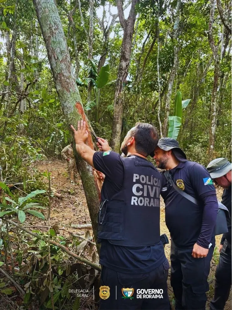 1740553807 813 EM CARACARAI Operacao integrada combate desmatamento e esbulho possessorio na