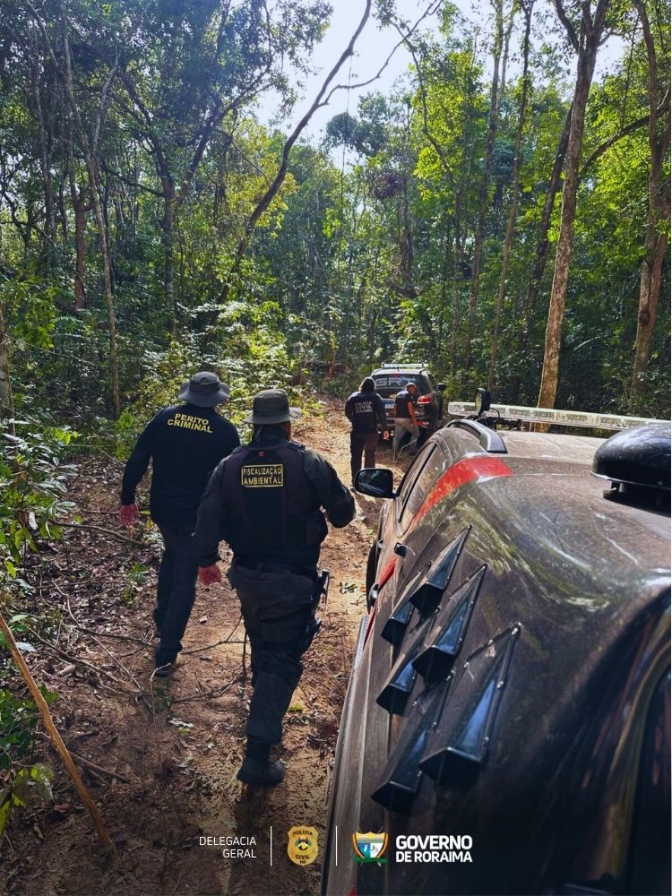 EM CARACARAÍ: Operação integrada combate desmatamento e esbulho possessório na região do Itã 3 1740553807 98 EM CARACARAI Operacao integrada combate desmatamento e esbulho possessorio na