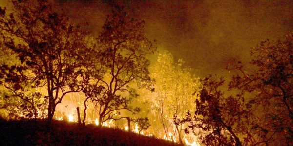 Bombeiros combatem mais de 500 incendios no Rio de Janeiro