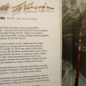 Ha 120 anos nascia Nise da Silveira a psiquiatra rebelde