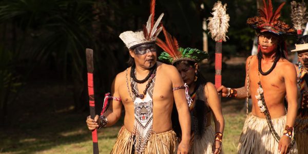 Inscricoes abertas para edital de curtas sobre Amazonia