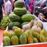 Programa Estadual de Aquisicao de Alimentos Oseias Martins SECOM RR 4 scaled