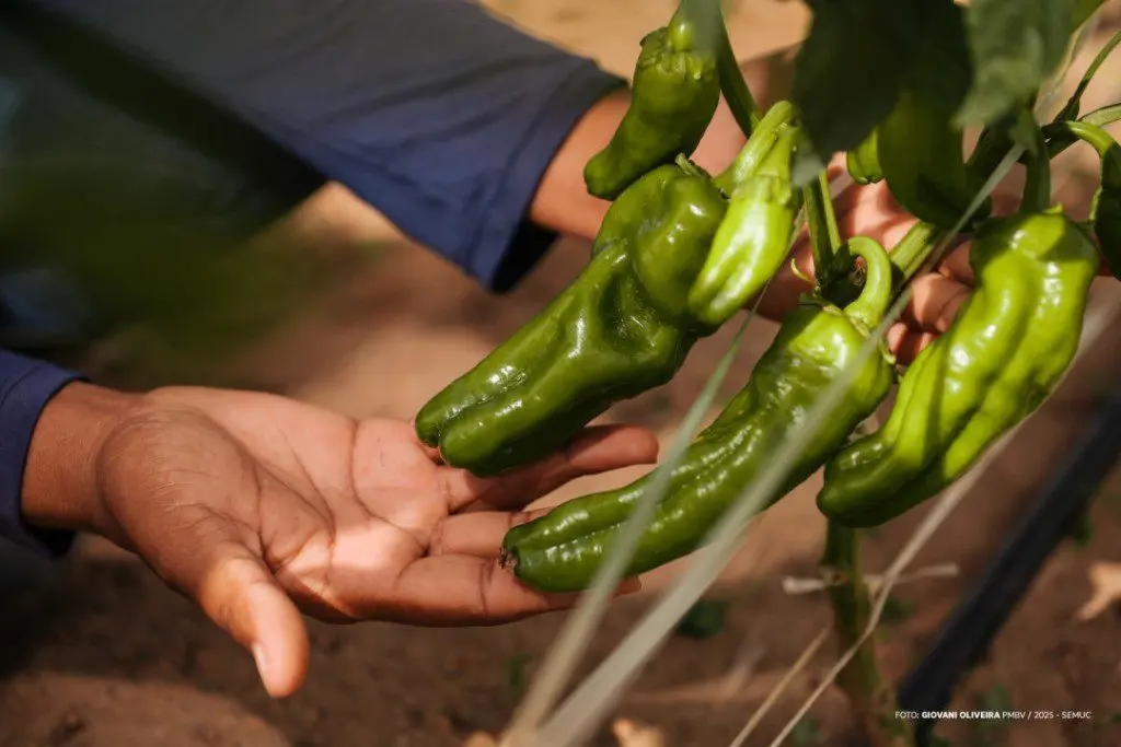 74f41feb407791bd52a86856c473f696