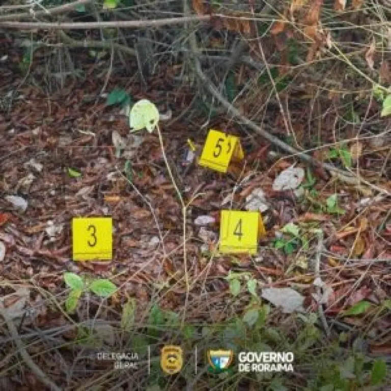 Acao integrada Policia Civil prende homem acusado de estuprar enteado