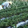 Anater seleciona entidades para programa de assistencia tecnica rural
