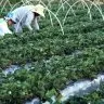 Anater seleciona entidades para programa de assistencia tecnica rural