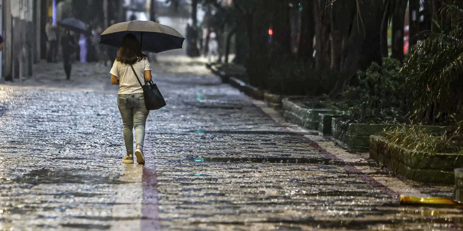 Defesa Civil envia alerta severo de chuva para a capital