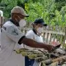 Eliminacao de Criadouros Arquivo Ascom Sesau