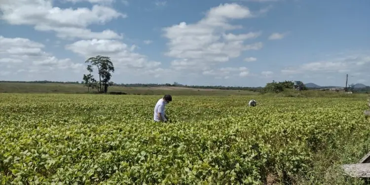 FIM DO VAZIO SANITARIO 3