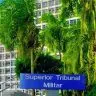 Inscricoes para concurso do Superior Tribunal Militar comecam na sexta