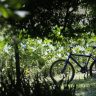 Outono comeca com previsao de temperaturas acima de media