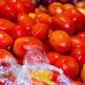TOMATE PIMENTA
