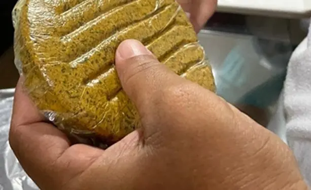 Pesquisadores usam o coco babaçu para criar alimento similar a hambúrguer 1 hamburguer de babacu