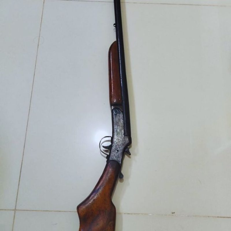 EM PACARAIMA: Polícia Civil prende dois homens por posse irregular de armas de fogo 1 2025041700