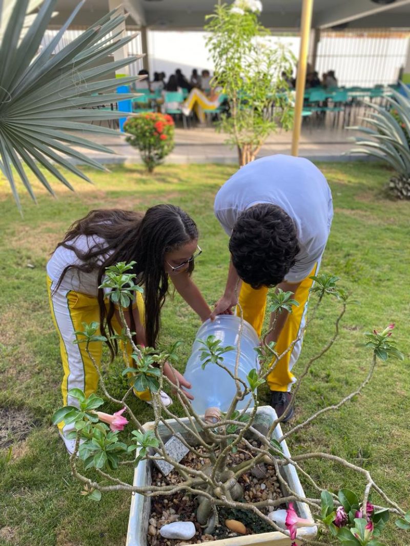 CURSO DE APERFEICOAMENTO EM EDUCACAO AMBIENTAL 1 1