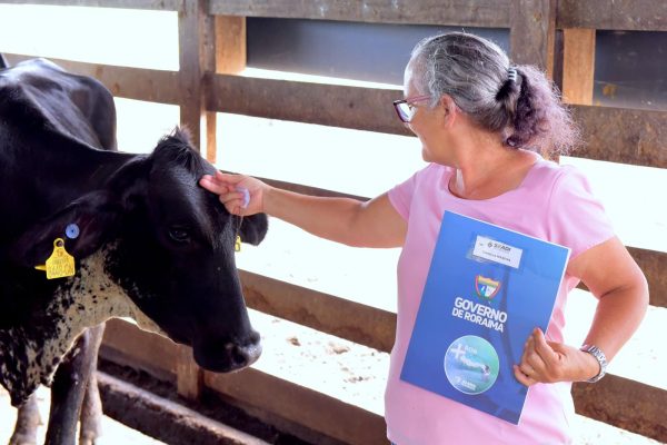Entrega de Novilhas Prenhes para Produtores do Canta Fernando Oliveira Secom RR 11