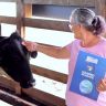 Entrega de Novilhas Prenhes para Produtores do Canta Fernando Oliveira Secom RR 11