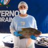 Entrega de Peixe na Semana Santa Secom Roeaima 3