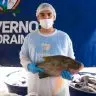 Entrega de Peixe na Semana Santa Secom Roeaima 3