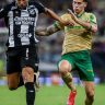 Palmeiras x Ceará: onde assistir, horário e escala...