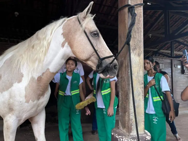 Sanitaristas mirins 3
