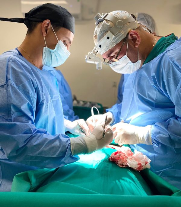 Seguranca Hospitalar Ascom Sesau