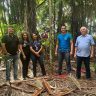 Visita acai scaled