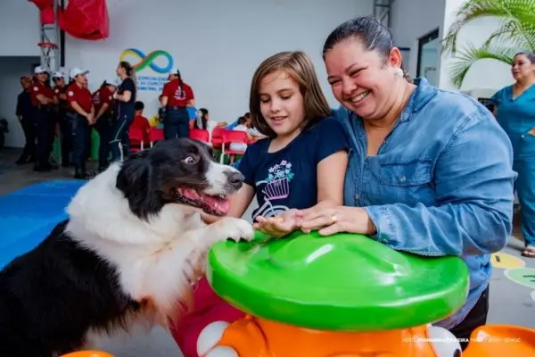 8216174ac86c12a965417322d2562e14