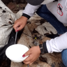 Alerta Dengue Arquivo Ascom Sesau 2