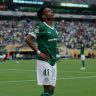 transmissão ao vivo de palmeiras x al ahly pelo mundial: veja onde assistir