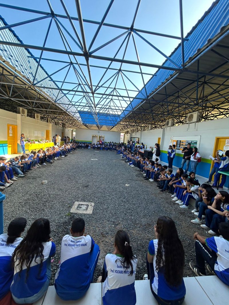 Escola Voltaire Pinto 2