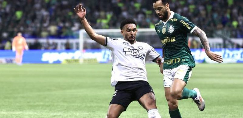 palmeiras x bota reacende rivalidade e põe fim à 'união' brasileira na copa