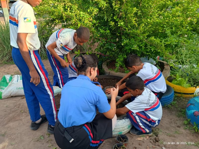 educacao ambiental 4