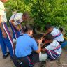 educacao ambiental 4