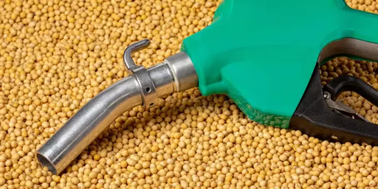 Nova mistura do biodiesel vai aumentar demanda por óleo de soja 1 hjvhkn