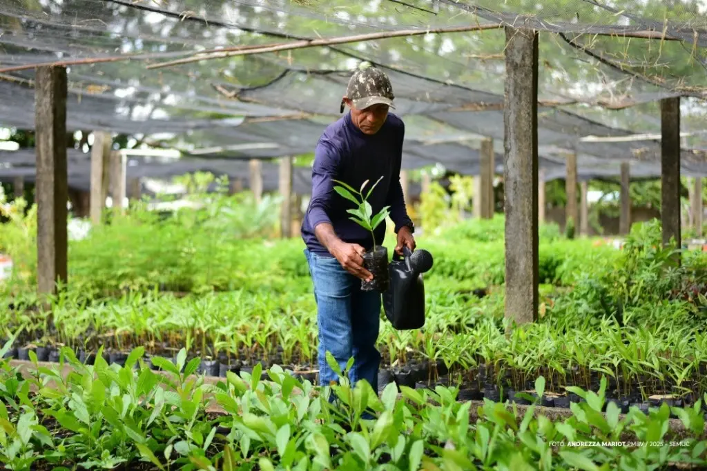 BOA VISTA 135 ANOS - Projetos sustentáveis transformam a cidade e educam a população 1 8ca06b495d198f1c623228ac6787b164