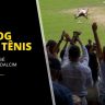 Iga fica ainda mais completa