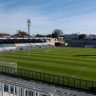 RB Bragantino x Flamengo: onde assistir, horário e escalações