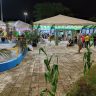 TENDA AGRO scaled