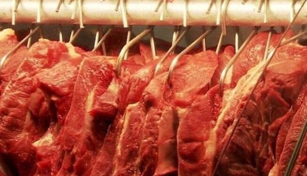 carne bovina 3 652x375
