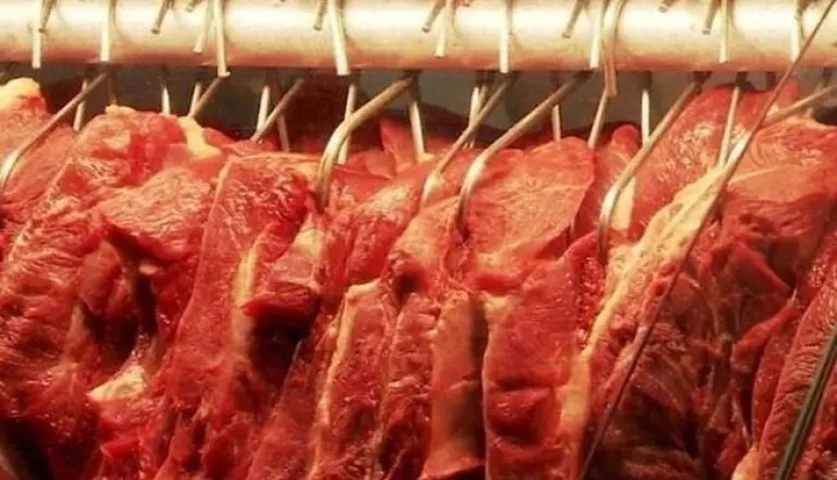 carne bovina 3 652x375