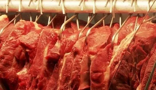 carne bovina 3