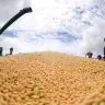 Abertura da Colheita de Soja 2025 4
