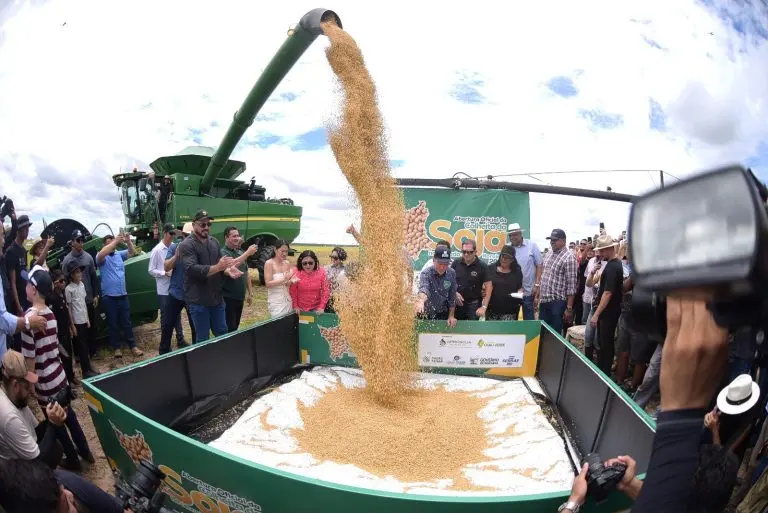 Abertura da Colheita de Soja 2025 6